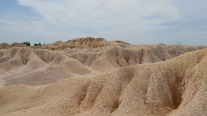 Gurun Pasir Busung