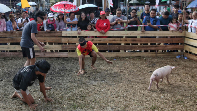 Lomba Menangkap Anak Babi di Kota Palangka Raya, Kalimantan Tengah