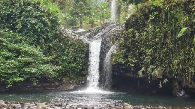 Air Terjun Curug Bayan, Keindahan Alam di Bumi Banyumas