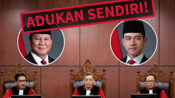Putusan Mahkamah Konstitusi