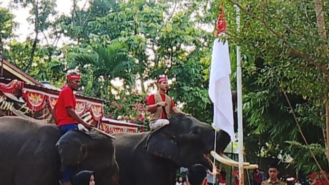 Dua Gajah Sumatra Mengerek Bendera Sang Merah Putih di Kampar, RIau