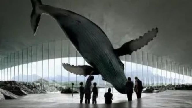 The Whale, Museum Ikan Paus
