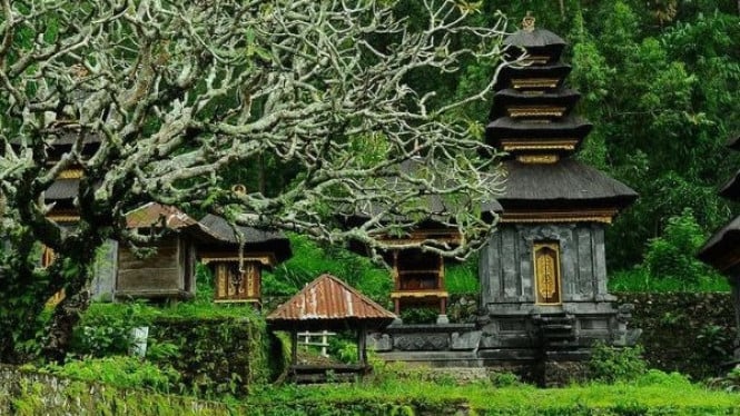 Menyingkap Misteri Desa Trunyan dan Tradisi Pemakaman Unik di Bali