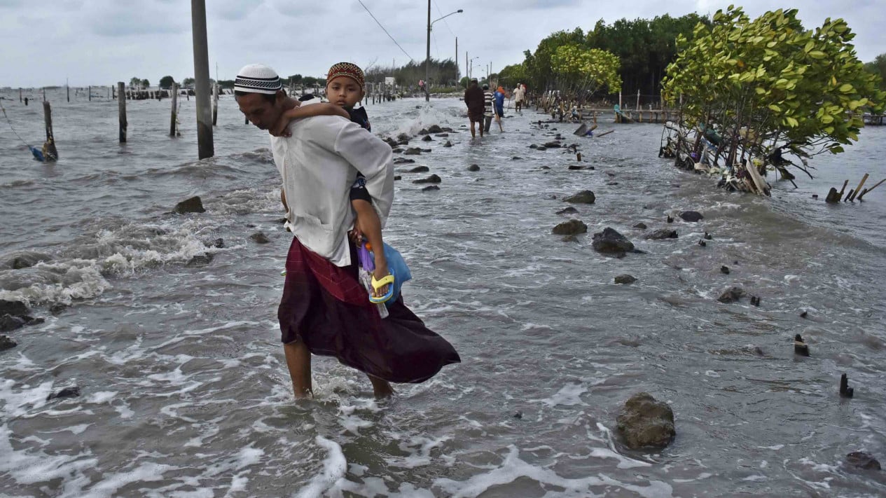 Bukti Ganasnya Abrasi Menghantam Pesisir Pulau Jawa