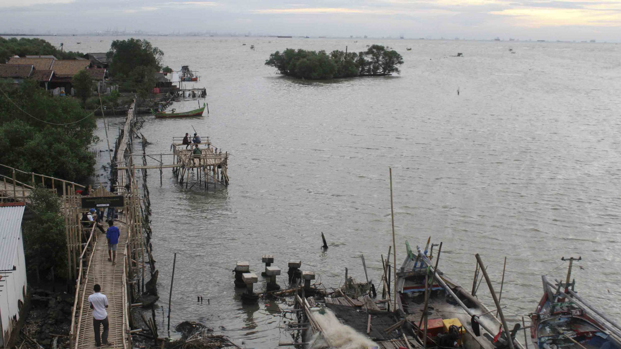 Bukti Ganasnya Abrasi Menghantam Pesisir Pulau Jawa