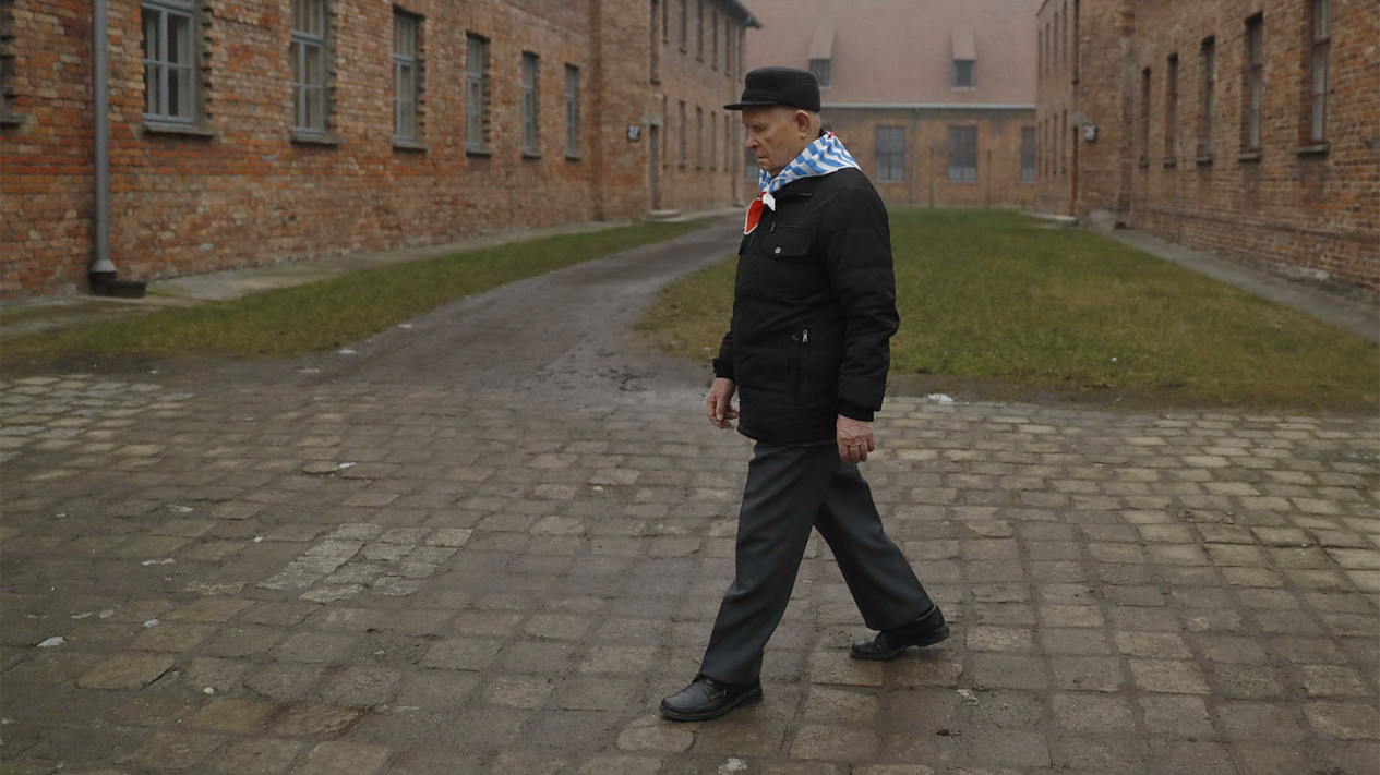 Mistisnya Auschwitz, Kamp Pemusnahan Milik Nazi