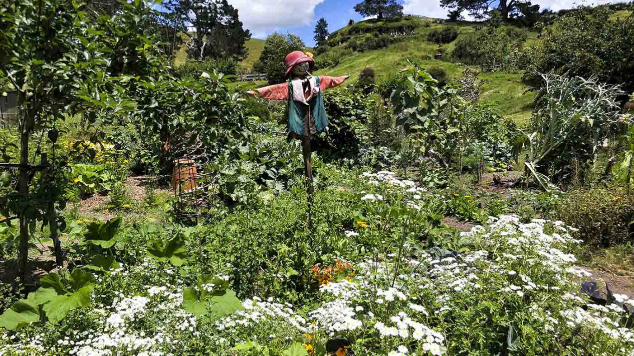Asyiknya Berwisata ke Hobbiton di Selandia Baru