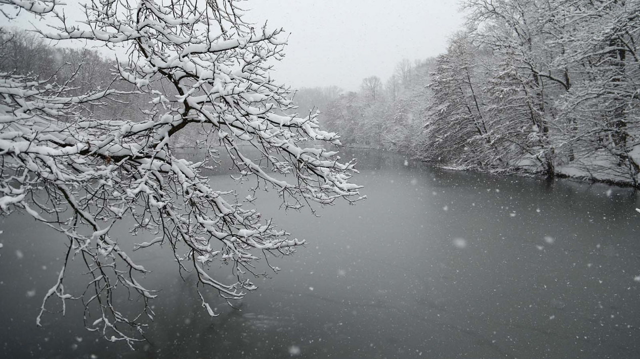 Turun Salju, Taman ini Semakin Cantik