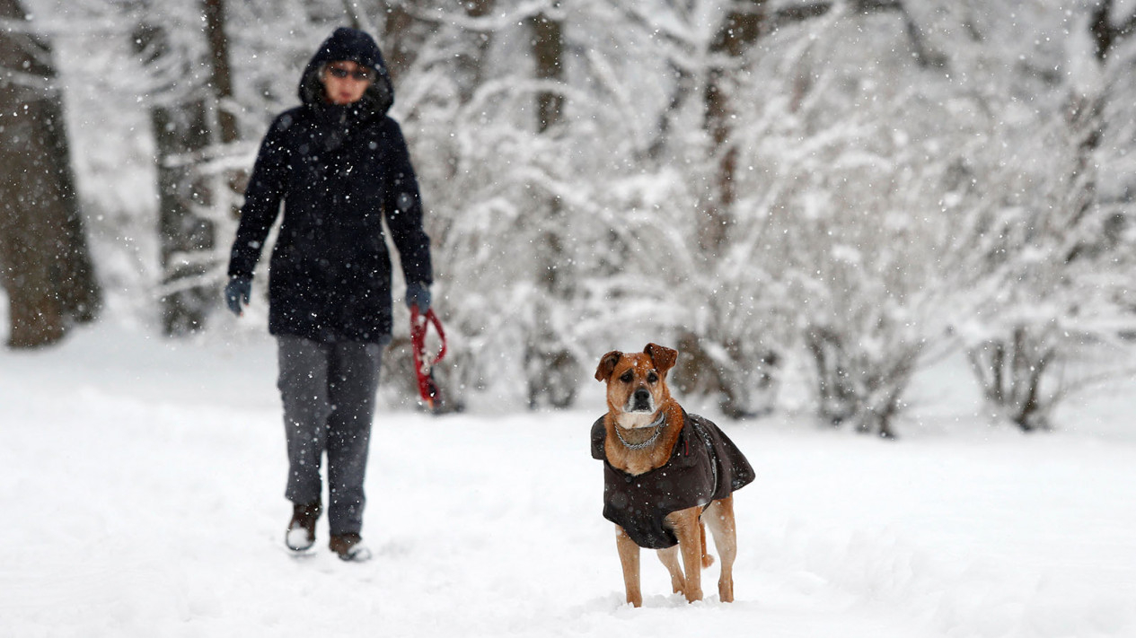 Turun Salju, Taman ini Semakin Cantik