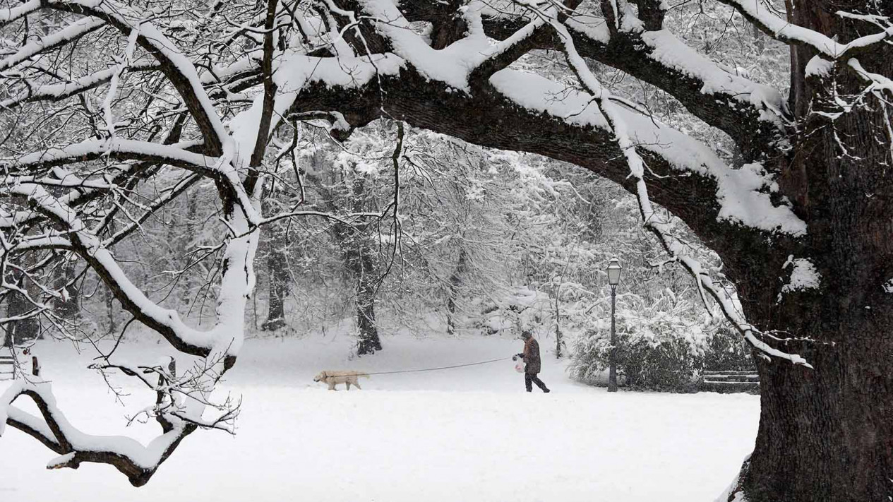 Turun Salju, Taman ini Semakin Cantik