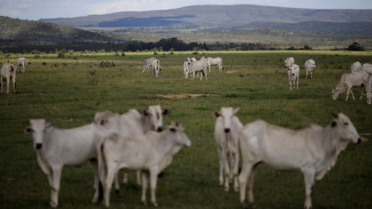 Indahnya Taman Nasional Chapada dos Veadeiros di Brasil