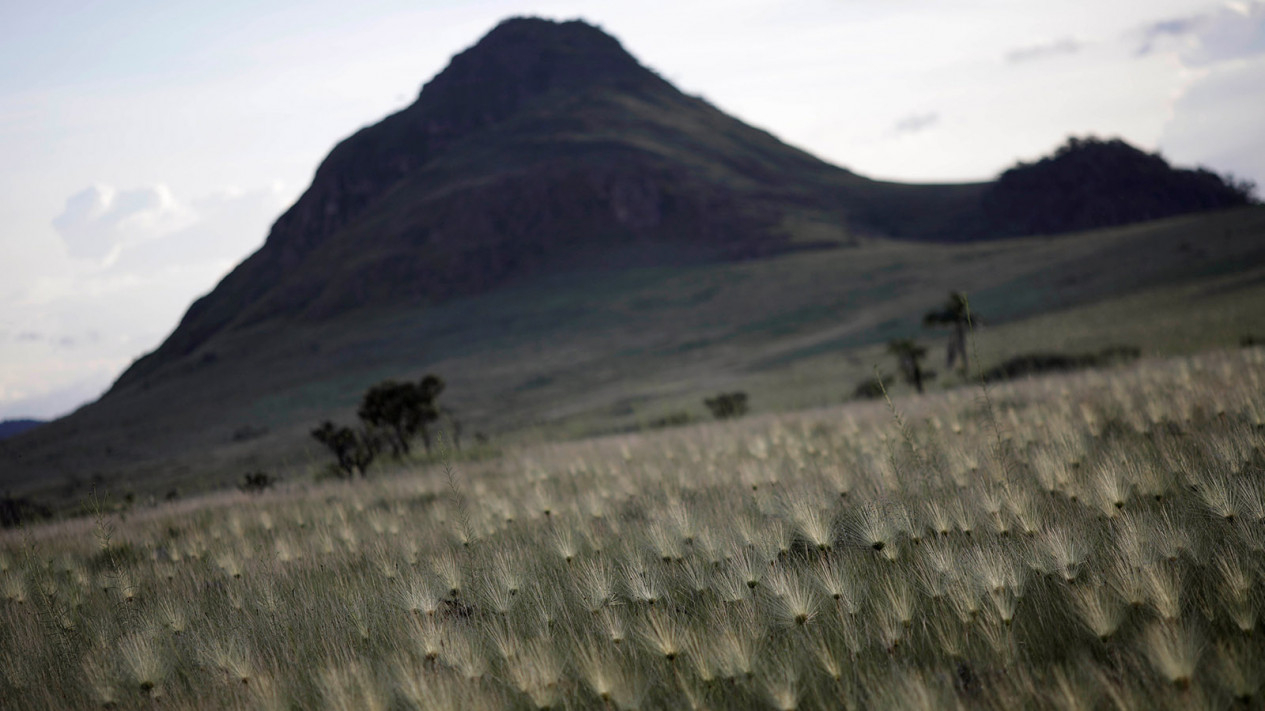 Indahnya Taman Nasional Chapada dos Veadeiros di Brasil