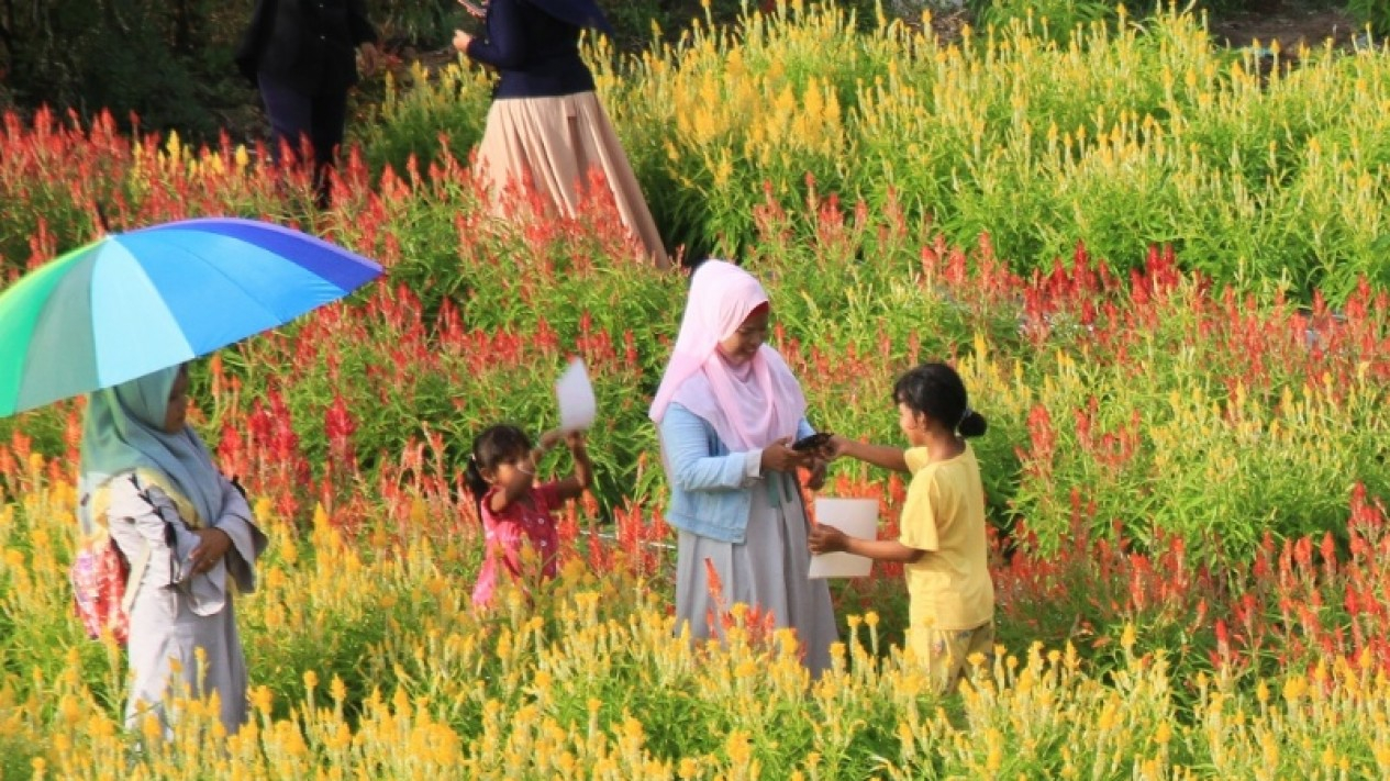 Menikmati Objek Wisata Taman Bunga di Aceh
