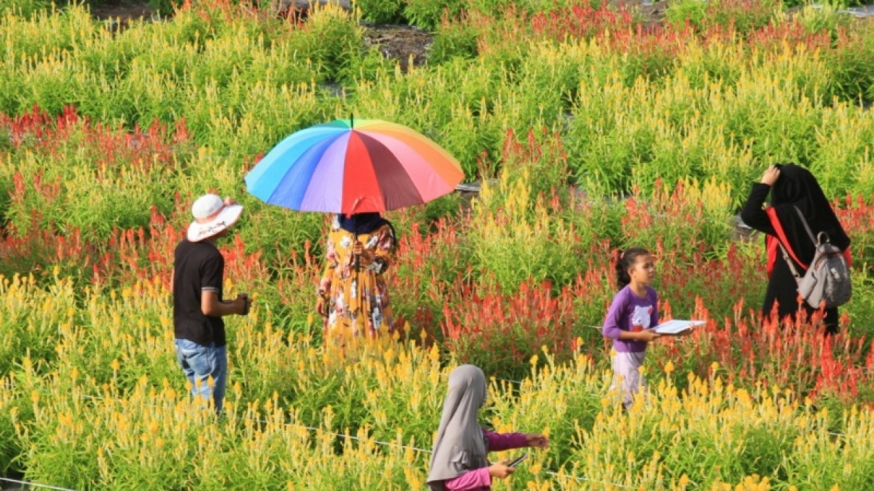 Menikmati Objek Wisata Taman Bunga di Aceh