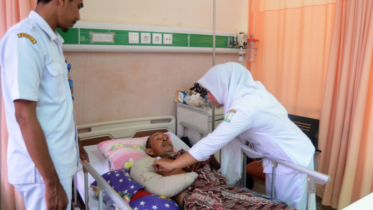 Gajah Liar Rusak Pemukiman Warga