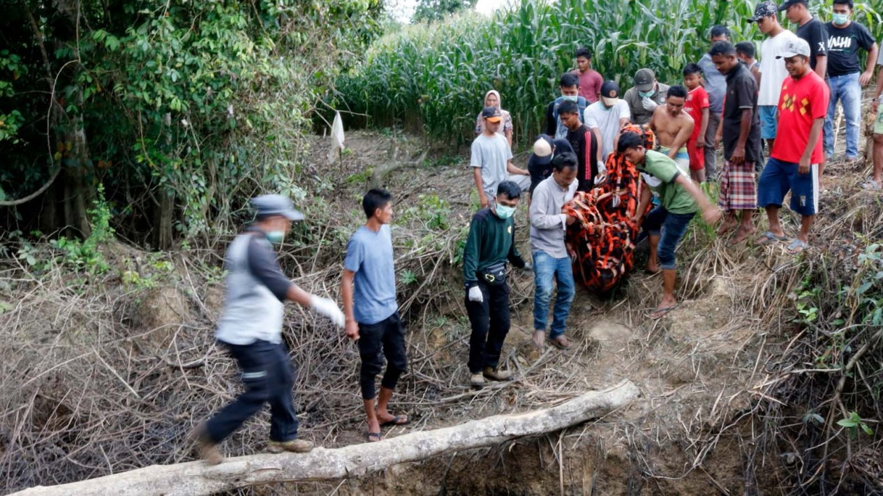 Evakuasi Orangutan dari Perkebunan Warga