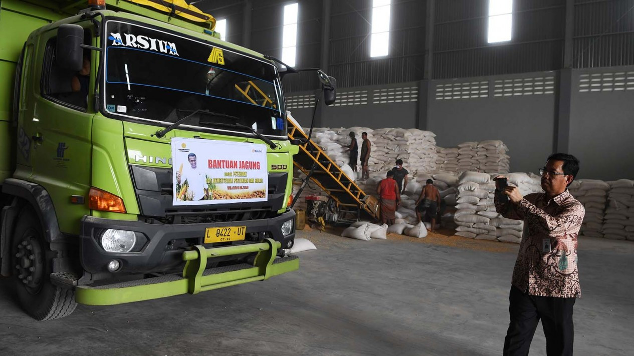 Bantuan Jagung Kepada Peternak di Jawa