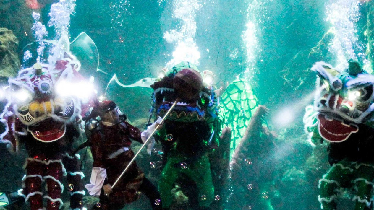 Seru, Pertunjukan Barongsai di Dalam Air Seaworld Ancol