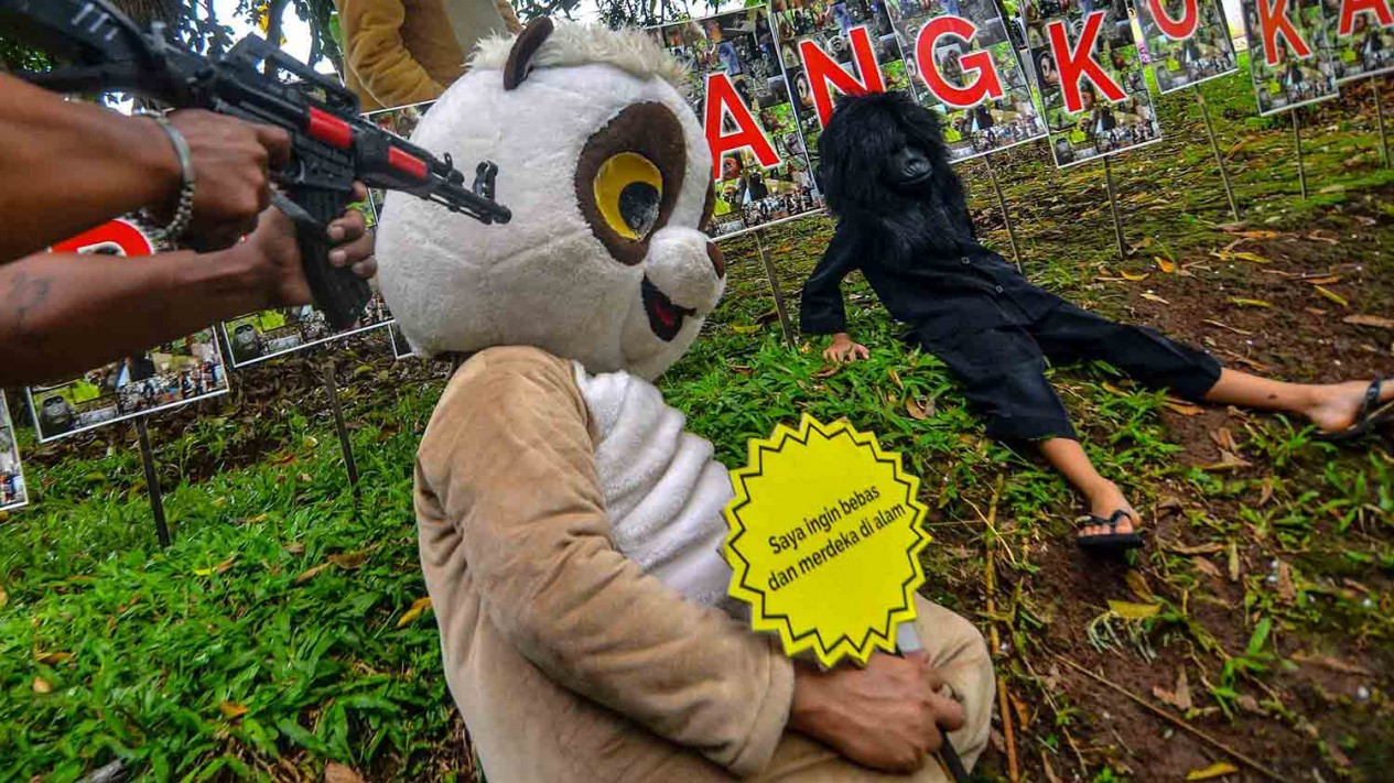 Aksi Kampanye Stop Kekang Kukang