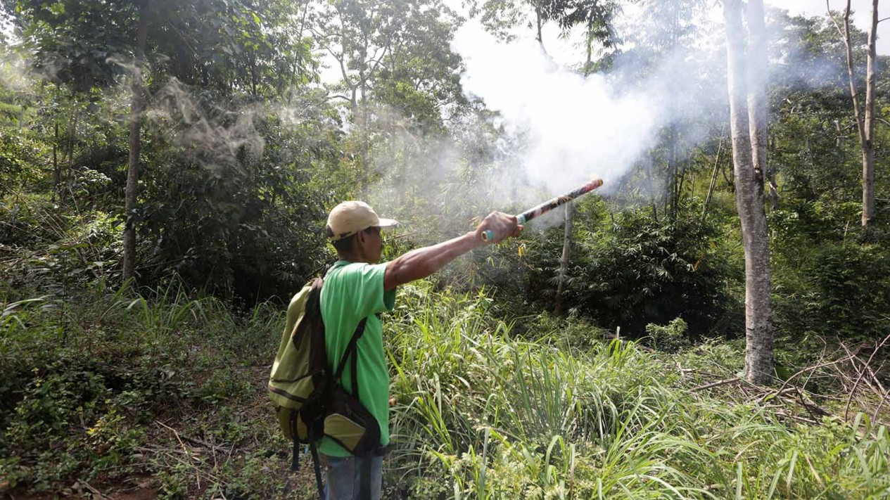 Gajah Liar Rusak Kebun Warga Aceh