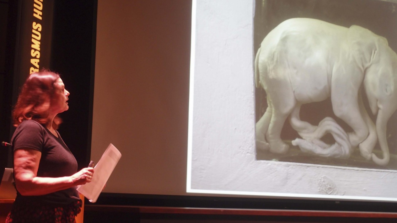 Seminar Foto Jurnalistik Isu Lingkungan