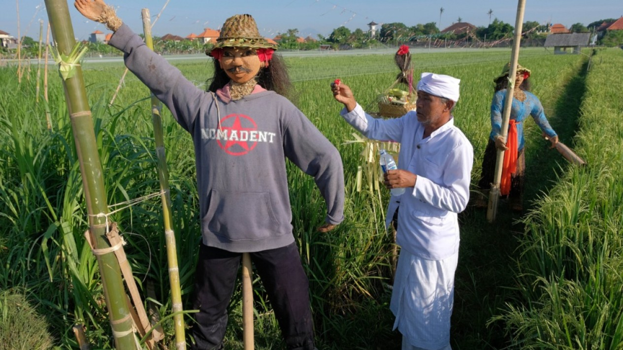 Kemeriahan Lomba Lelakut di Bali