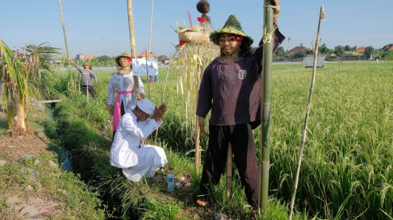 Kemeriahan Lomba Lelakut di Bali