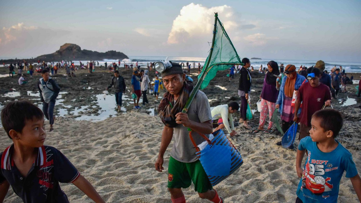 Tradisi Berburu Cacing Warga Sasak Lombok