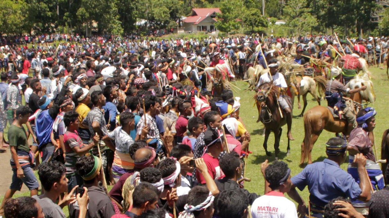 Menikmati Festival Pasola Wanokaka Sumba Barat