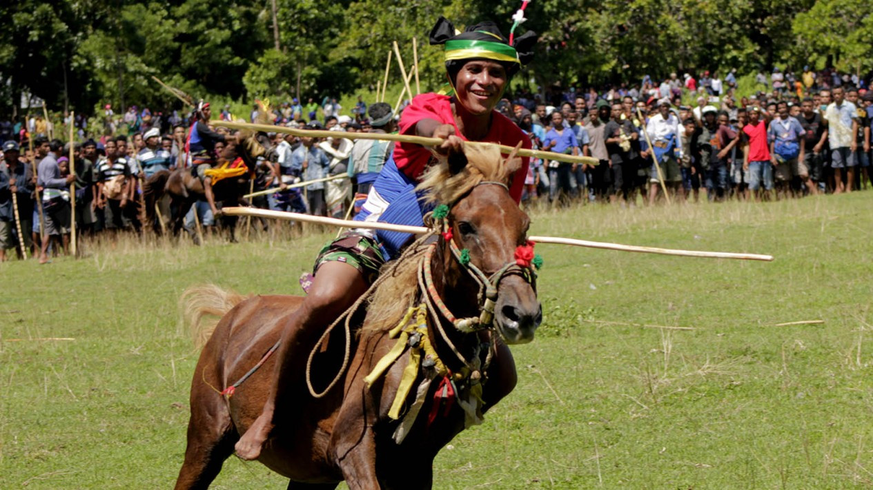 Menikmati Festival Pasola Wanokaka Sumba Barat