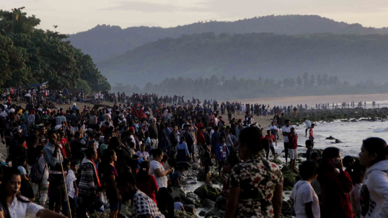 Tradisi Nyale di Sumba Barat NTT