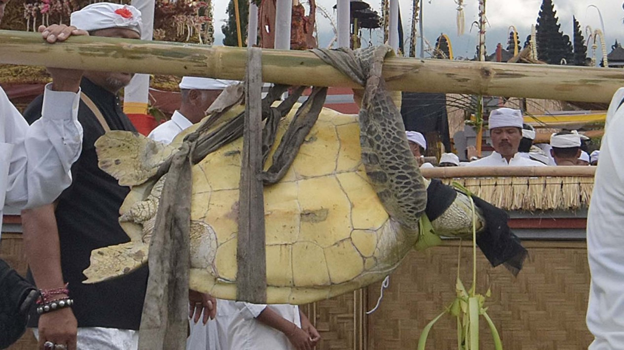 Upacara Mapepada di Pura Besakih Bali