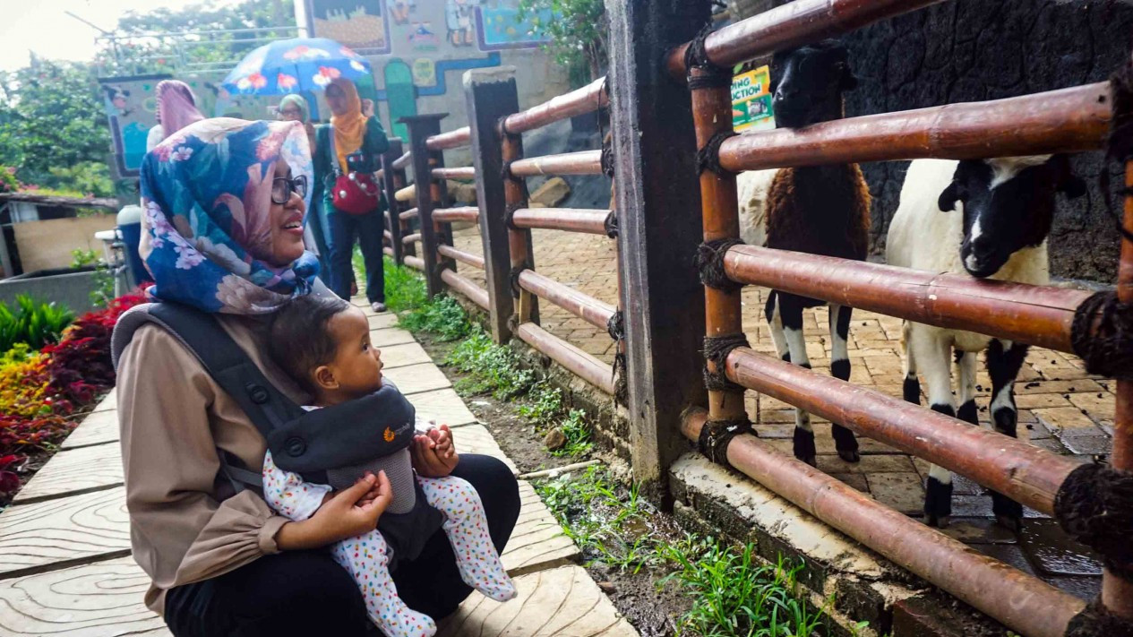 Belajar Mengenal Satwa Sejak Usia Dini