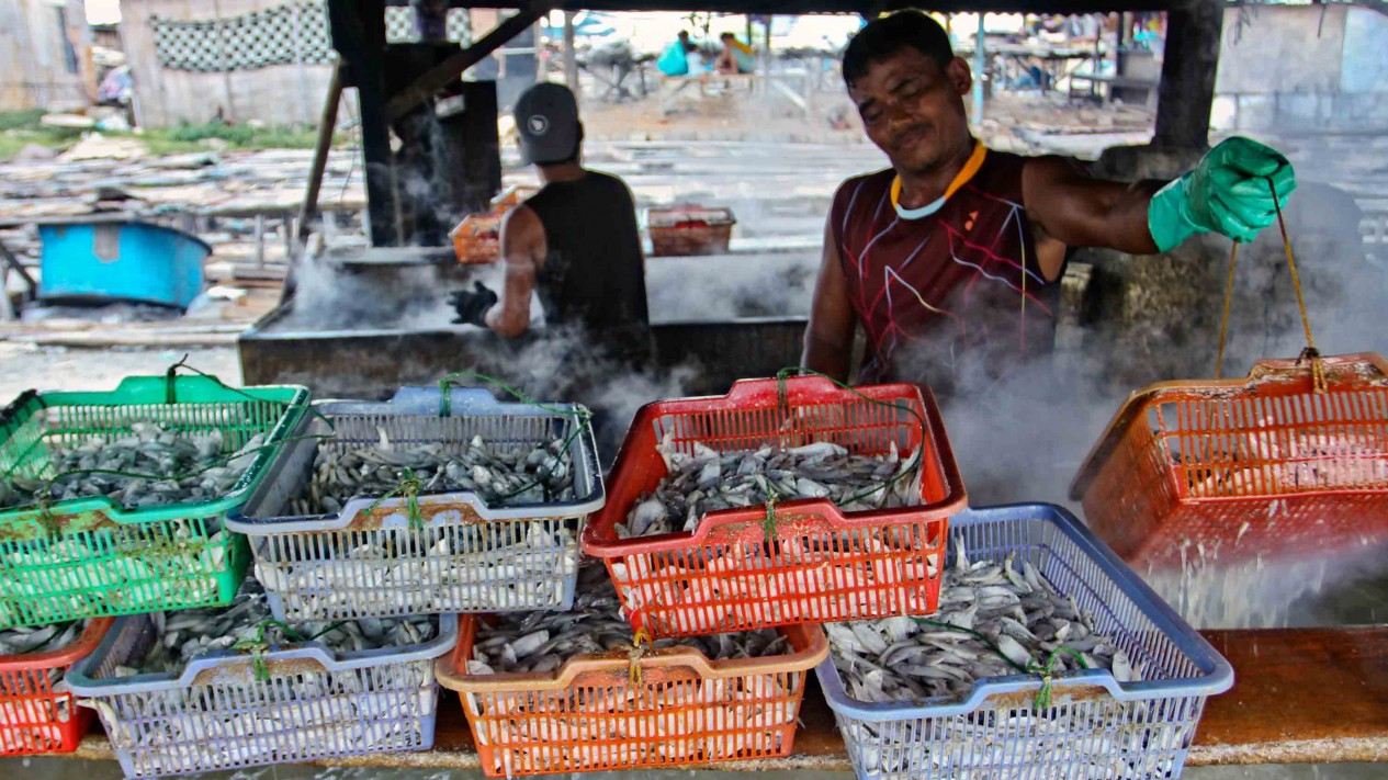 Proses Pengolahan Ikan Asin di Muara Angke Jakarta