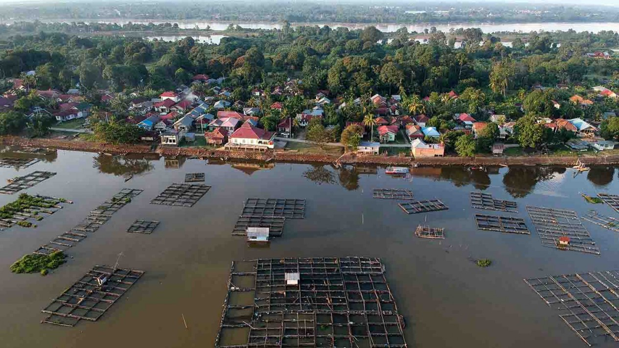 Indahnya Alam Danau Sipin di Jambi