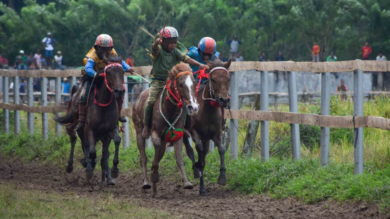 Gaya Joki Cilik Beraksi di Festival Pesona Tambora 2019