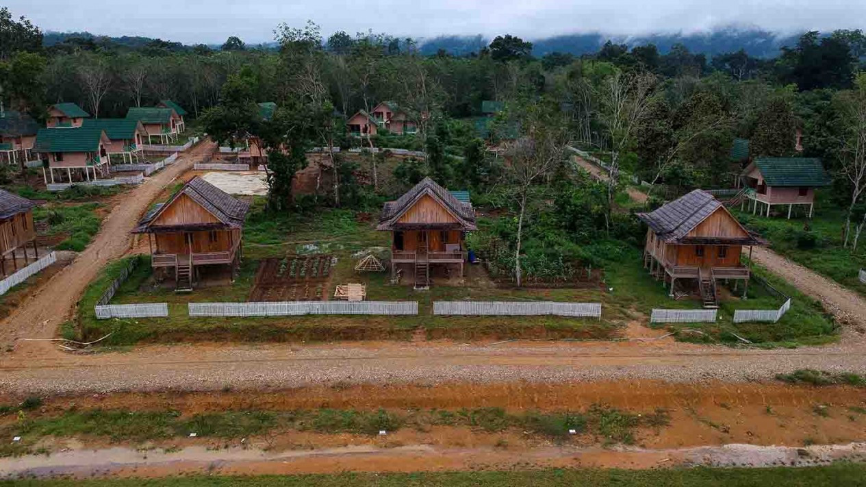 Melihat Pemukiman Orang Rimba di Jambi
