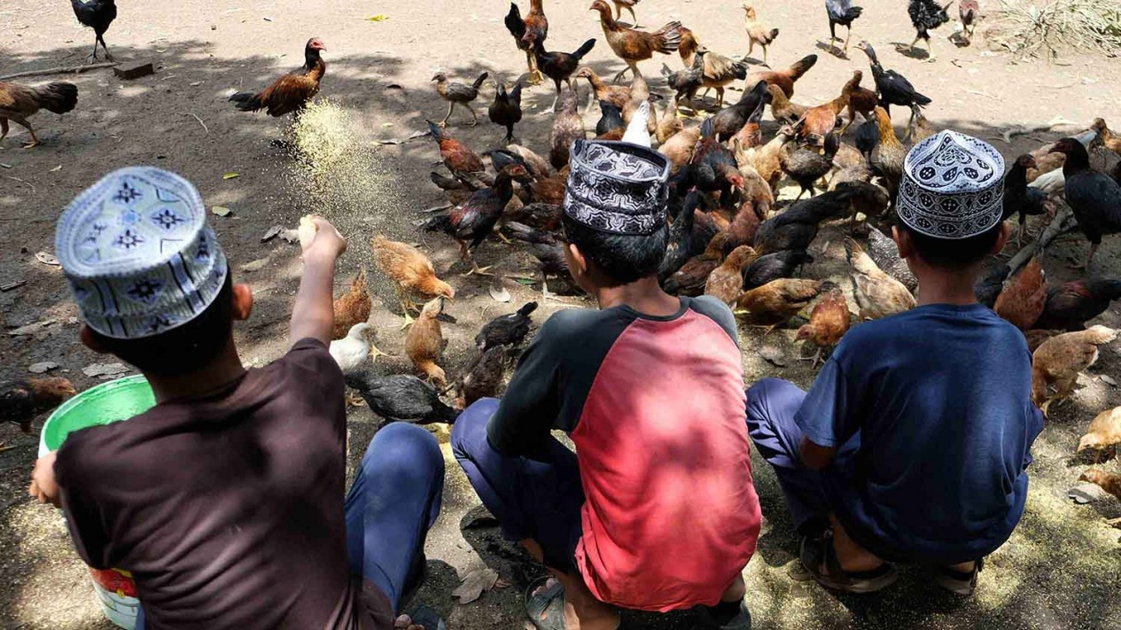 Intip Aktivitas Pesantren Mantan Terpidana Teroris