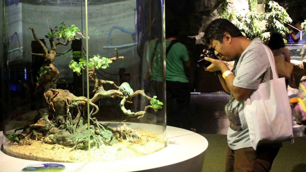 Lomba Foto Satwa Berhadiah Ratusan Juta Rupiah