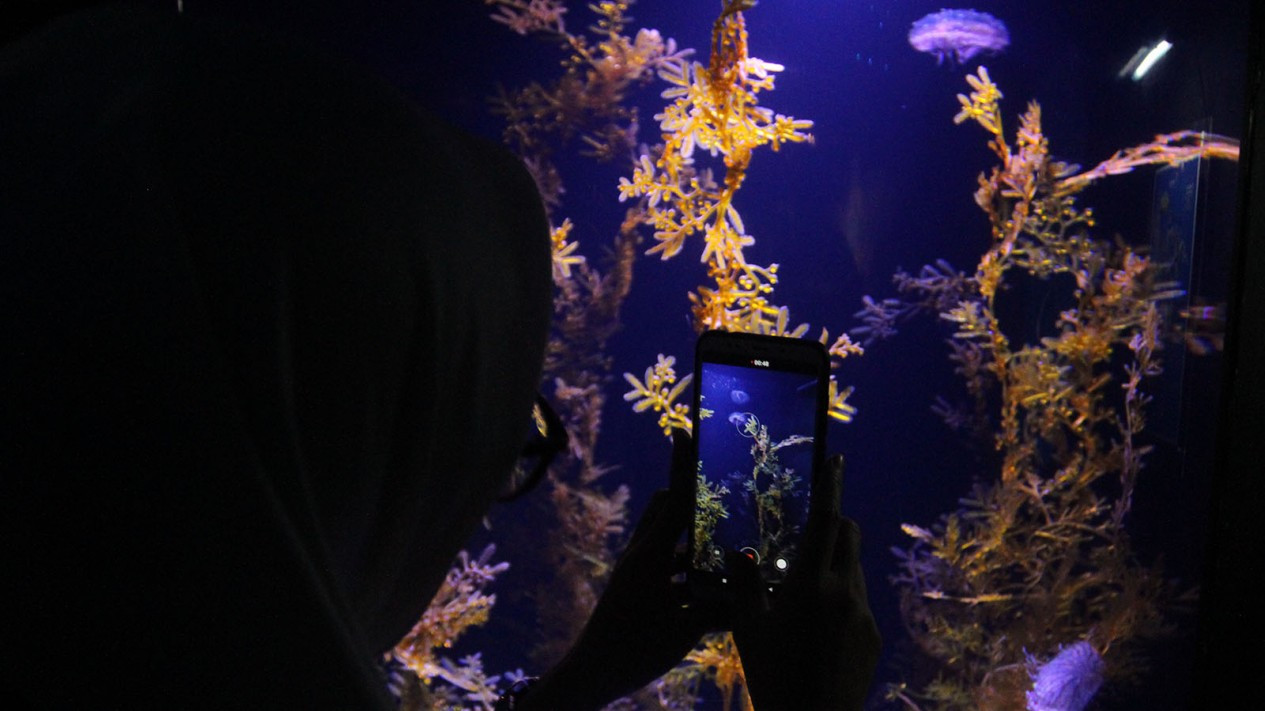 Lomba Foto Satwa Berhadiah Ratusan Juta Rupiah