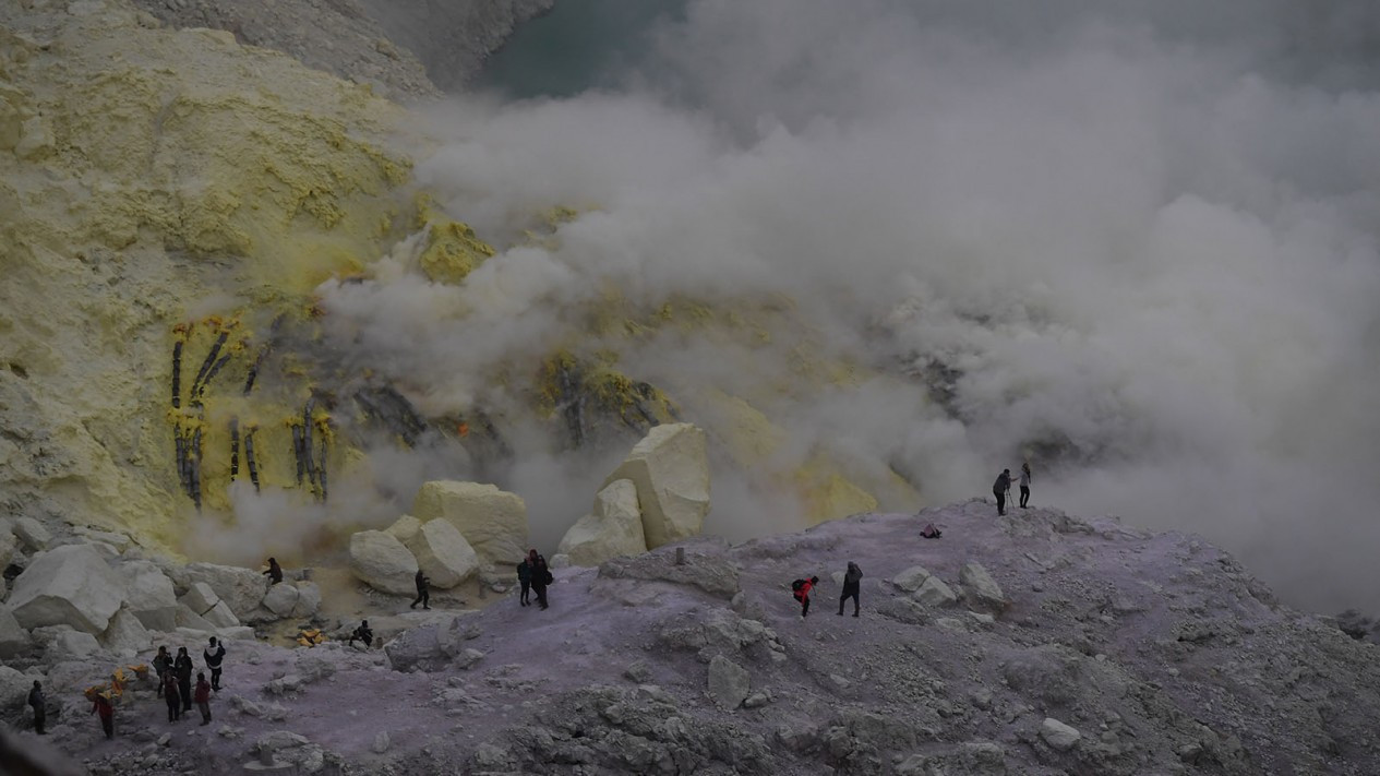Pemulihan Ekosistem Kawah Ijen