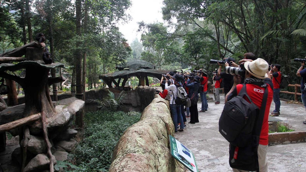 Serunya Lomba Foto Satwa di Taman Safari