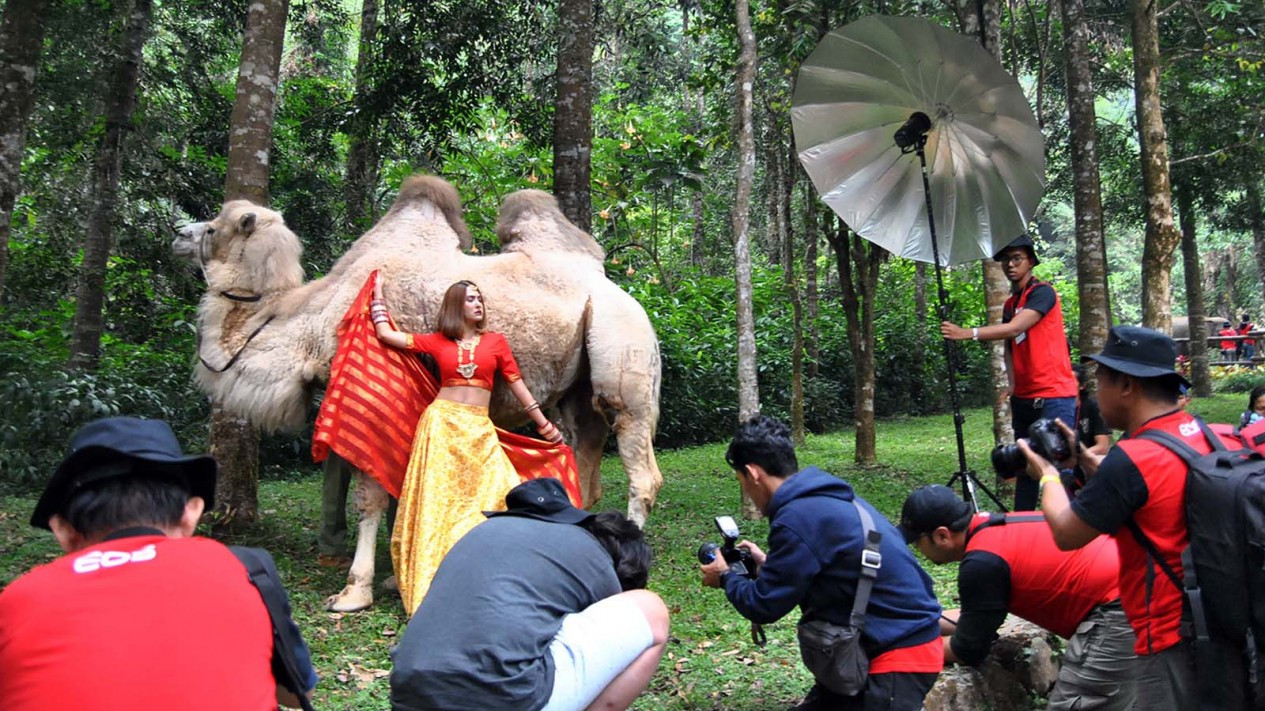 Serunya Lomba Foto Satwa di Taman Safari