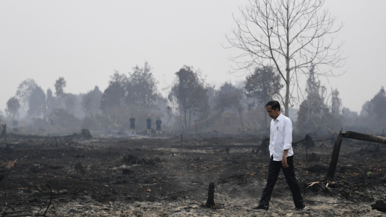 Presiden Jokowi Kunjungi Lokasi Kebakaran Lahan