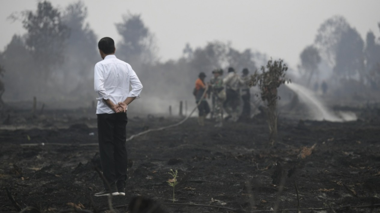 Presiden Jokowi Kunjungi Lokasi Kebakaran Lahan