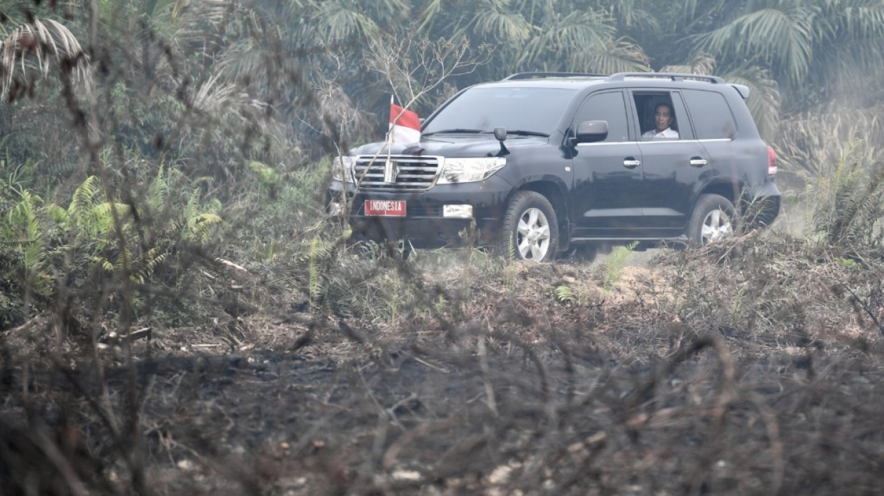 Presiden Jokowi Kunjungi Lokasi Kebakaran Lahan