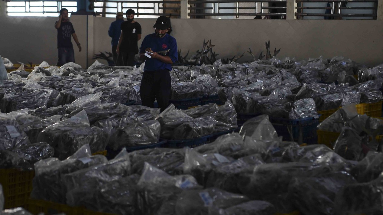 Tempat Pelelangan Ikan (TPI) Muara Angke Kembali Dibuka