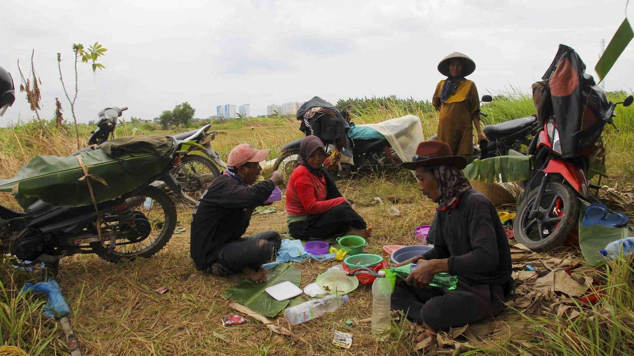 Berkurangnya Lahan Pertanian Ibukota