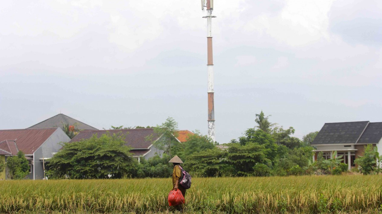 Berkurangnya Lahan Pertanian Ibukota