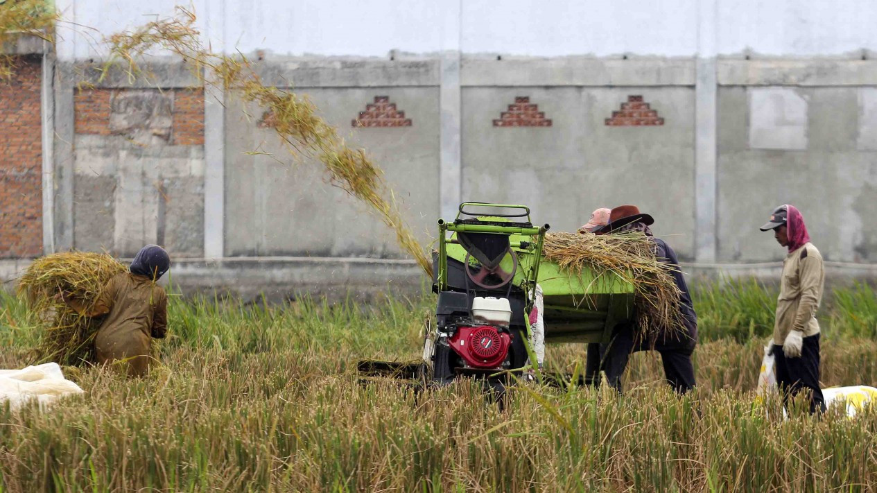 Berkurangnya Lahan Pertanian Ibukota